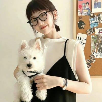 捕风追影 在线观看